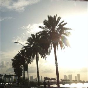 Meet your Posher, J.